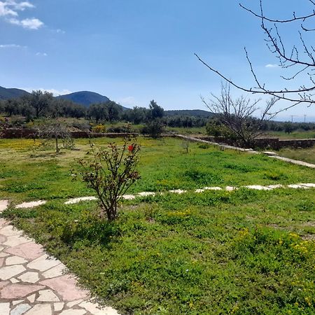 “Villa Othon-Leni” Paralia Demonias Extérieur photo