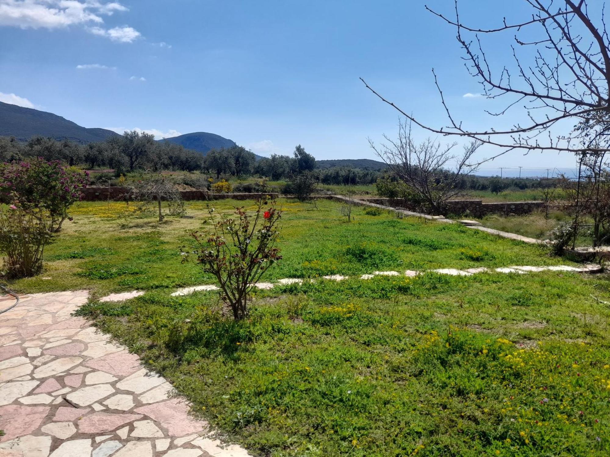 “Villa Othon-Leni” Paralia Demonias Extérieur photo