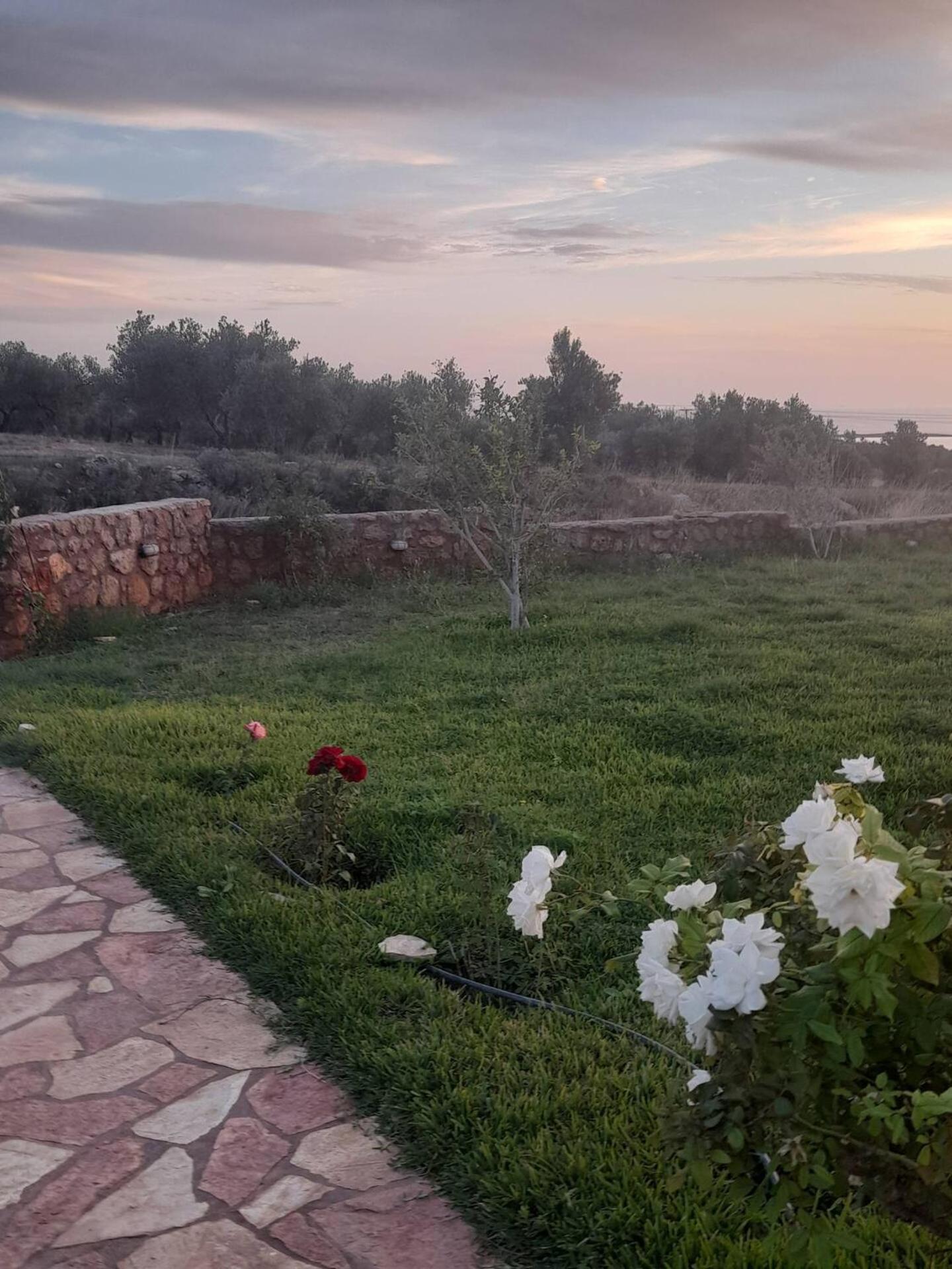 “Villa Othon-Leni” Paralia Demonias Extérieur photo