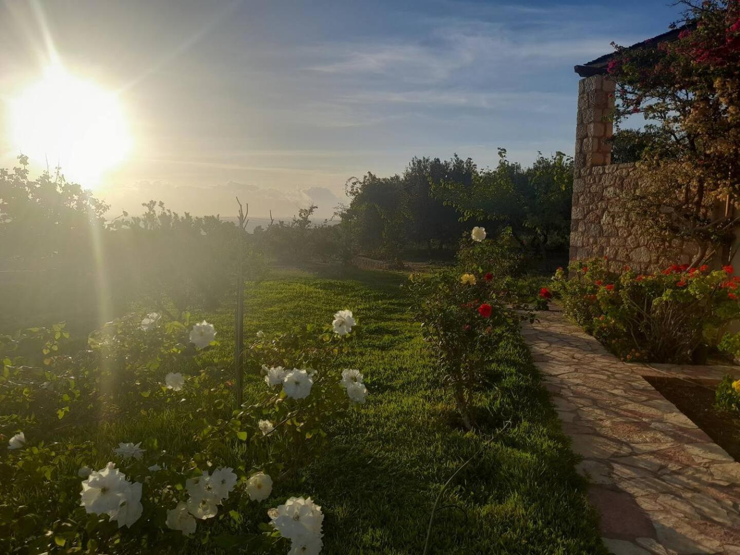 “Villa Othon-Leni” Paralia Demonias Extérieur photo